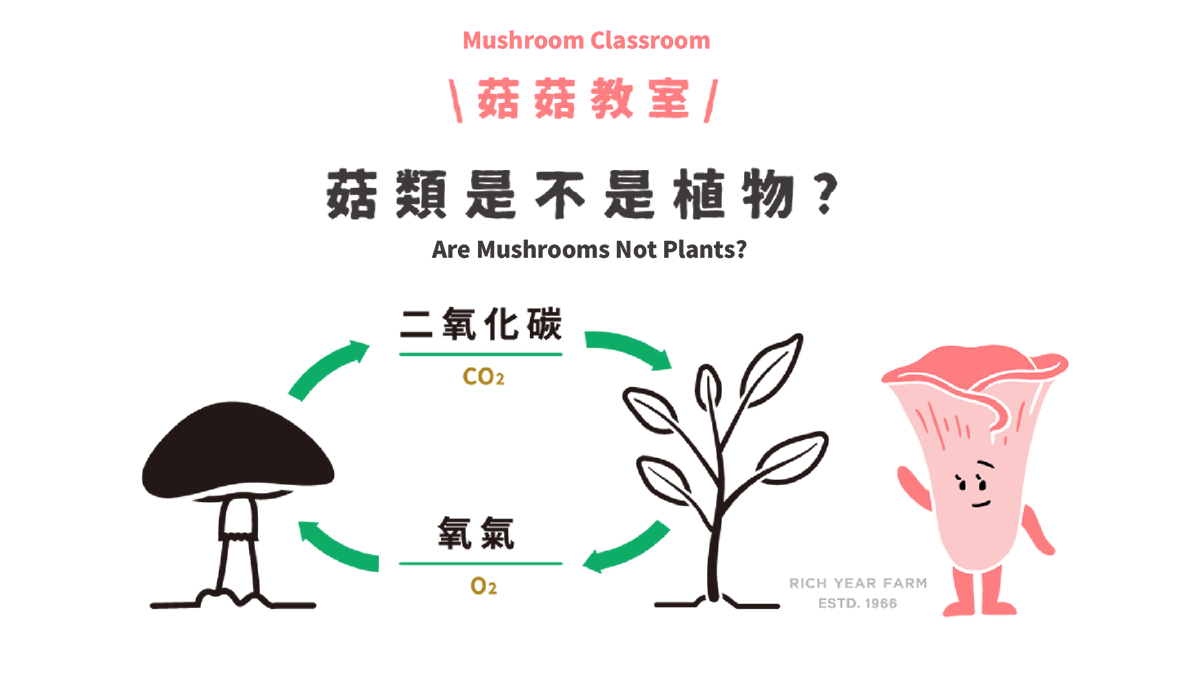 豐年單元頁-14 豐年單元頁-14