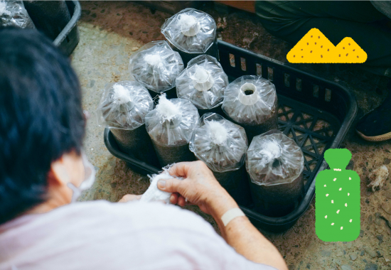 Grow Bags