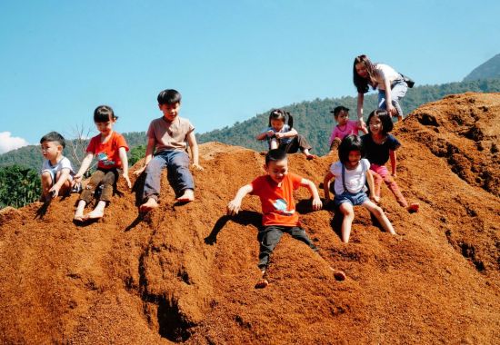 Climbing the Wood Chip Hill Activity & Digging for Stag Beetles