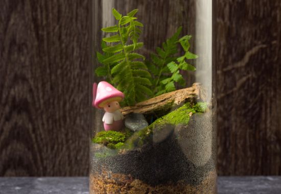 蕈菇微型世界生態瓶DIY