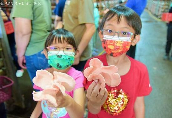 Family-Friendly Attraction in Nantou | Rich Year Farm