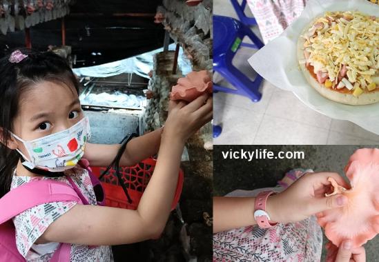 Rich Year Farm |  A Fun and Educational Mushroom Farm at Puli