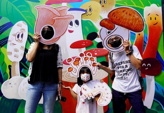 Family-Friendly Attractions in Puli, Nantou: Step into the Mushroom Wonderland