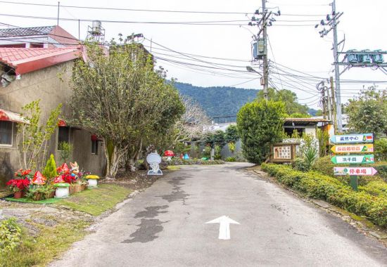 Rich Year Farm in Puli, Nantou: Free Tours to Explore Various Mushrooms