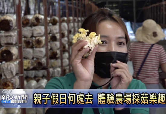 Rich Year Farm Mushroom Picking Experience | Nantou News