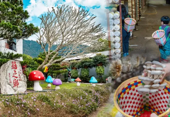 A Top Tourist Attraction in Nantou · Step into Taiwan’s Magical World of Mushrooms